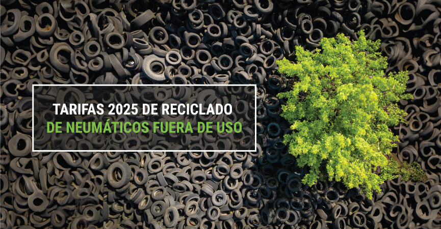 TNU reduce sus tarifas para 2025 ajustándolas a las necesidades del sector